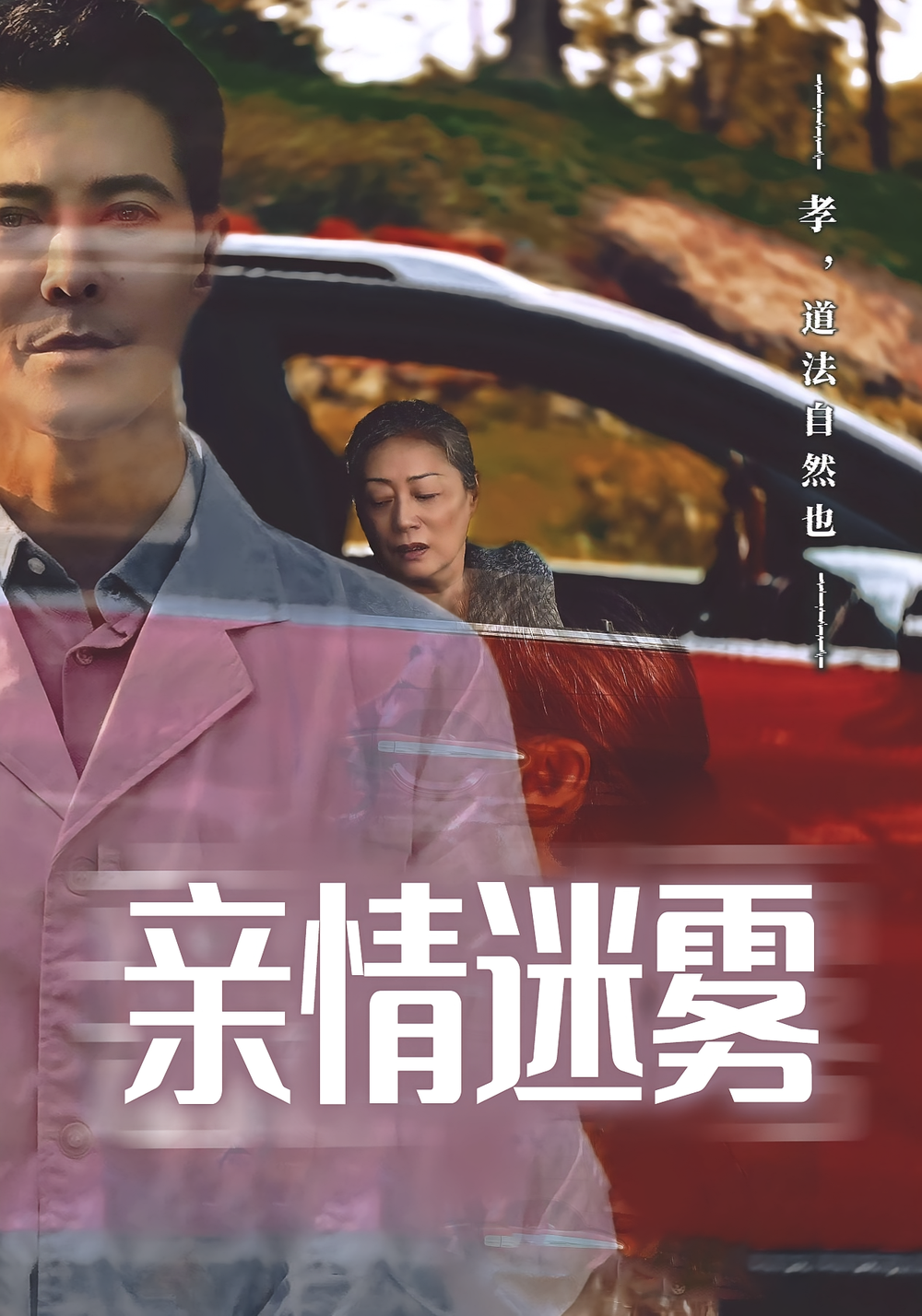 亲情迷雾海报