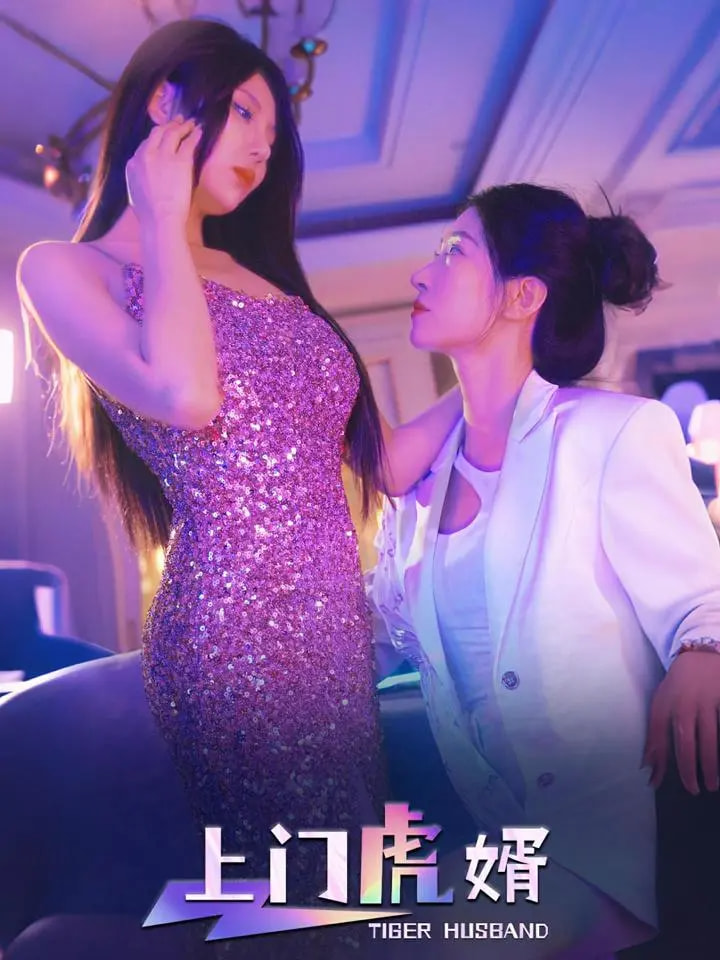 上门虎婿海报