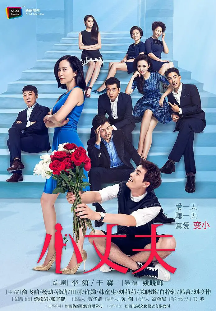 小丈夫[电影解说]海报