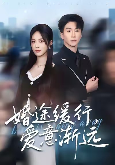 婚途缓行，爱意渐远海报