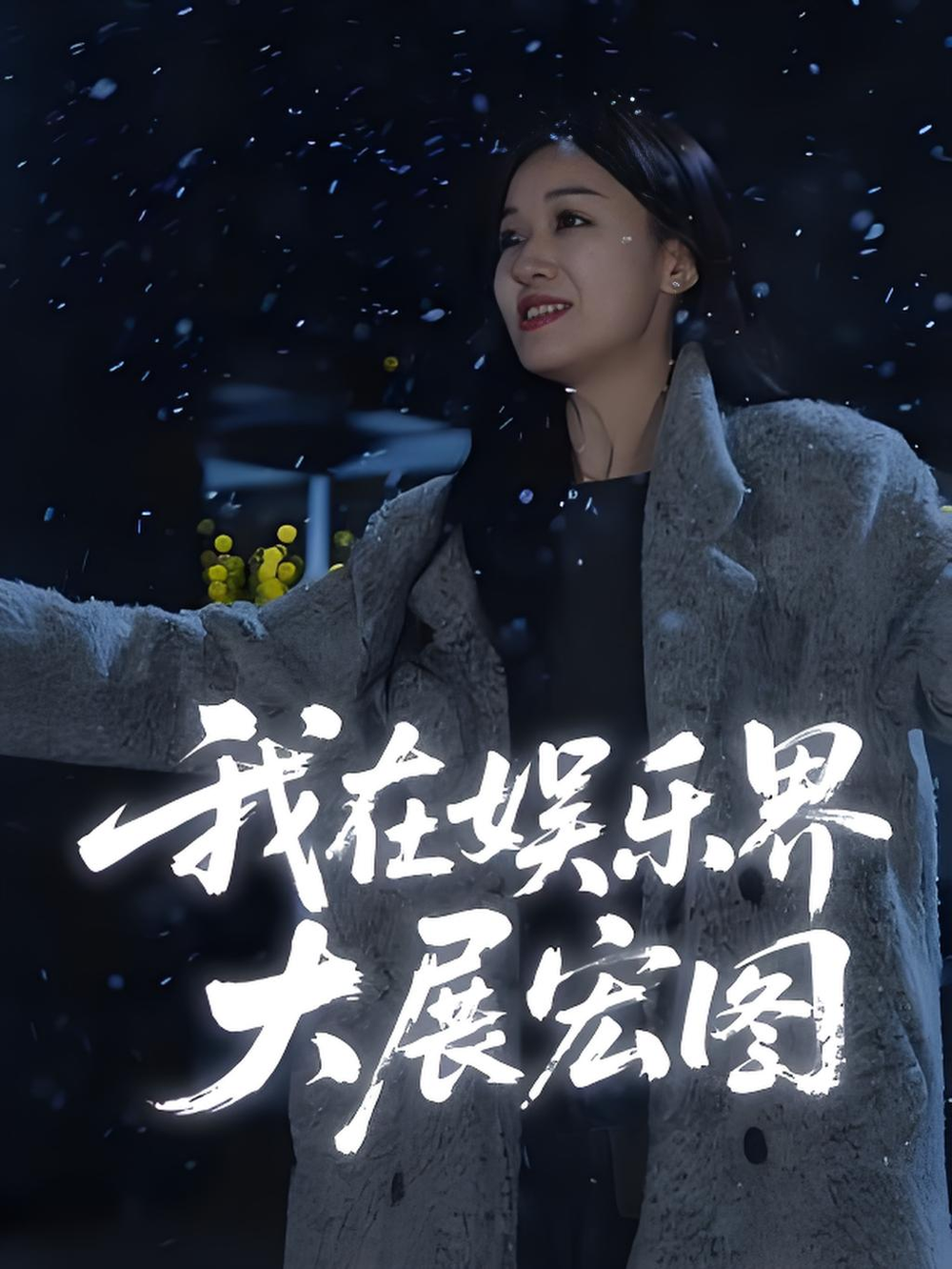 娱界掌舵人&我在娱乐界大展宏图海报