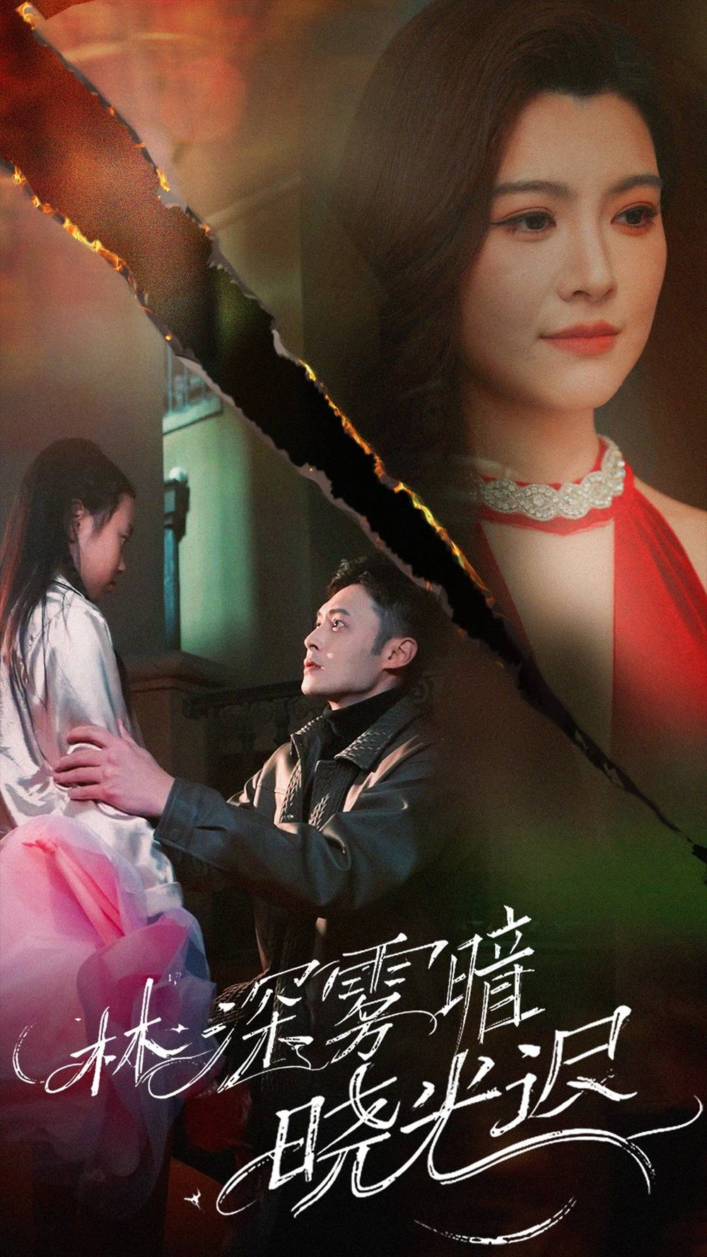 林深雾暗晓光迟海报