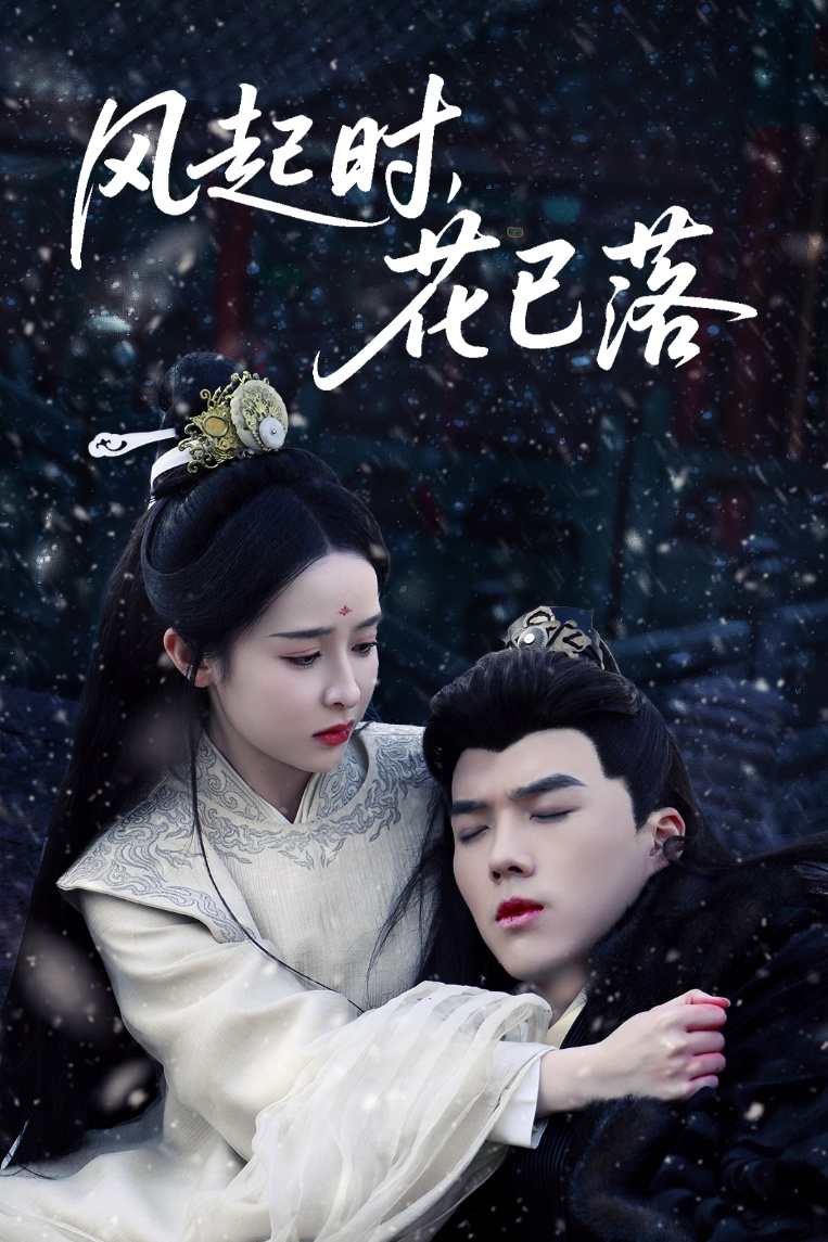 风起时，花已落海报