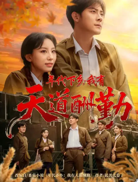 年代下乡我有天道酬勤海报