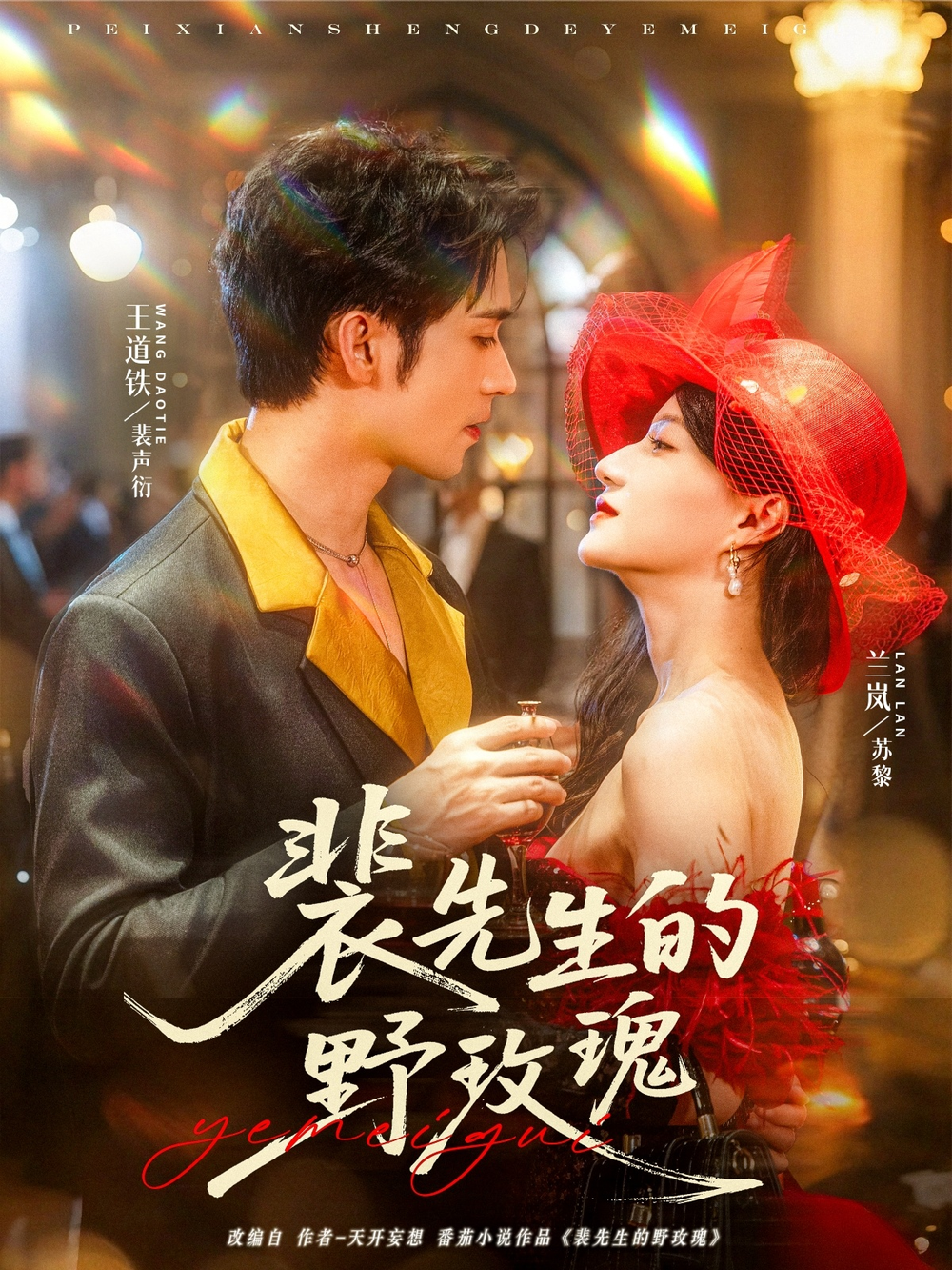 裴先生的野玫瑰海报