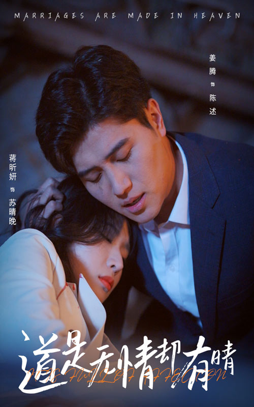 道是无情却有晴海报