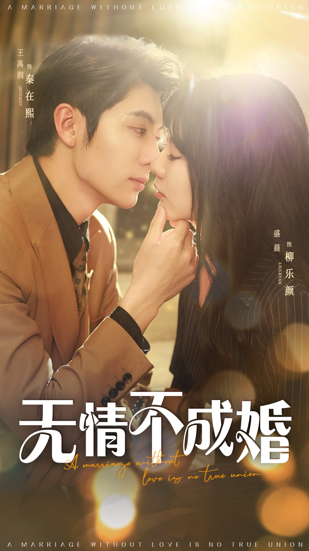 无情不成婚海报