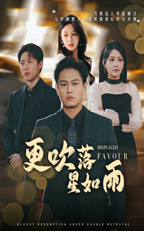 更吹落星如雨＆迟来的深情如草芥海报