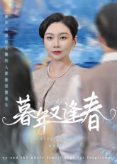 暮年又逢春海报