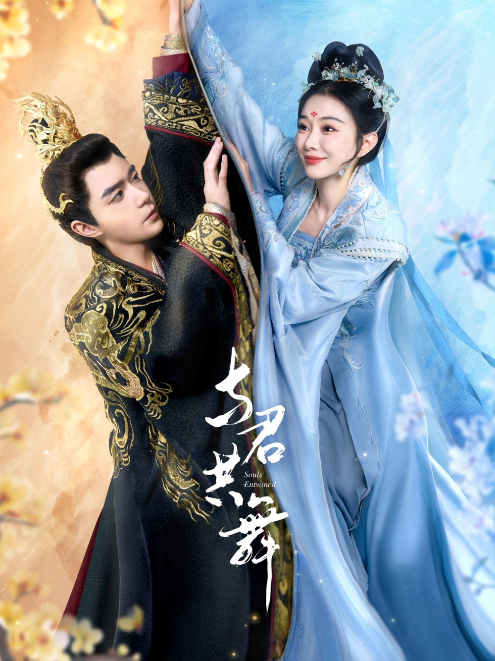 与君共舞海报