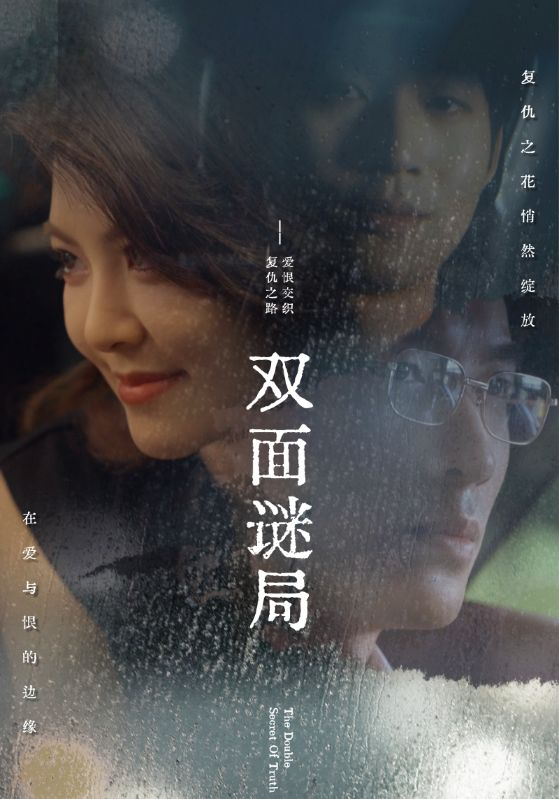 双面谜局海报