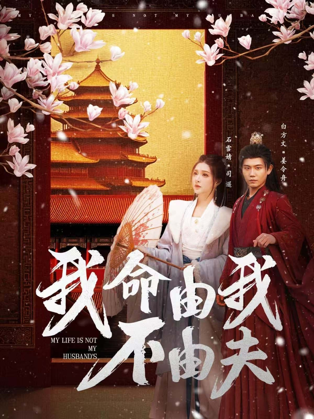 我命由我不由夫海报