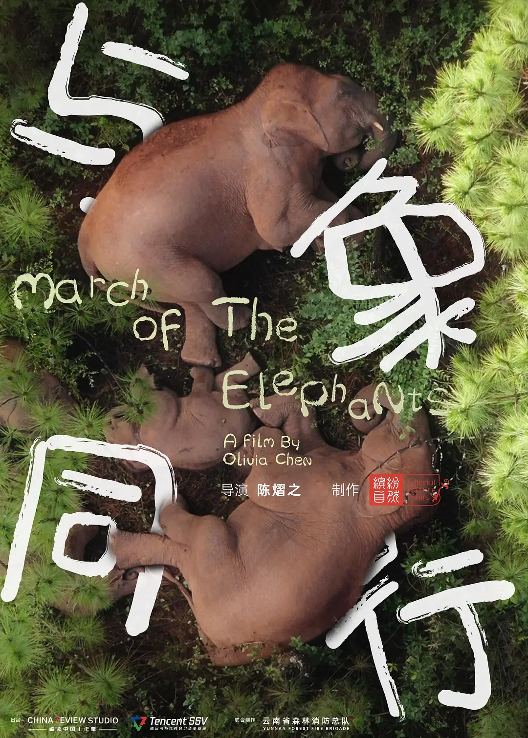 与象同行[电影解说]海报