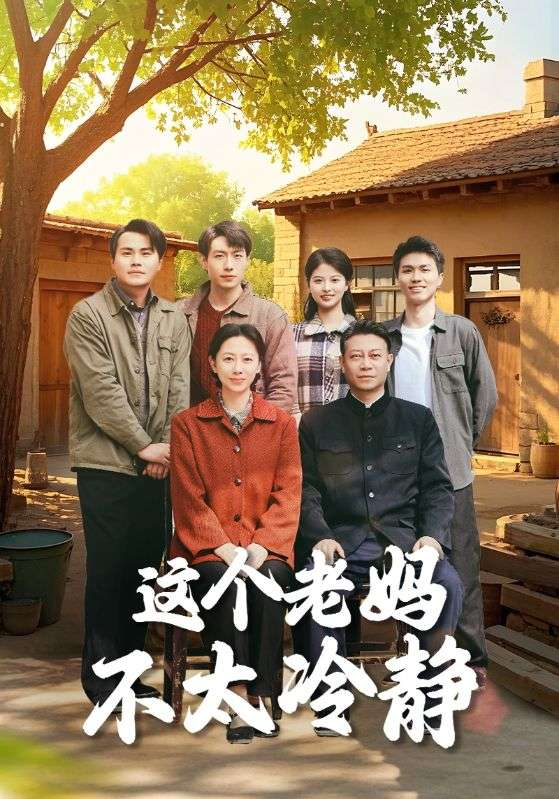 这个老妈不太冷静海报