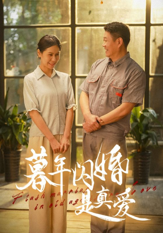 暮年闪婚是真爱海报