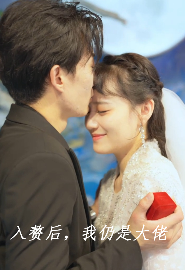 入赘后,我仍是大佬海报