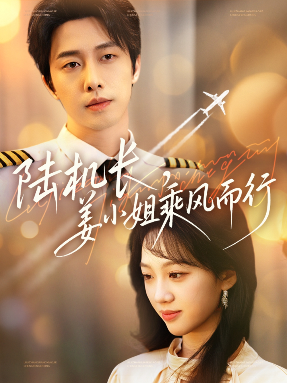 陆机长，姜小姐乘风而行海报