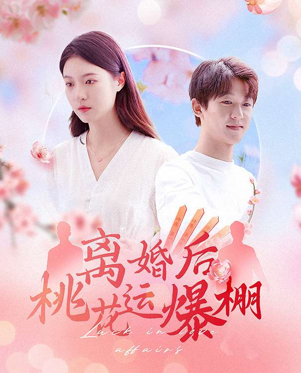 离婚后我桃花运爆棚海报