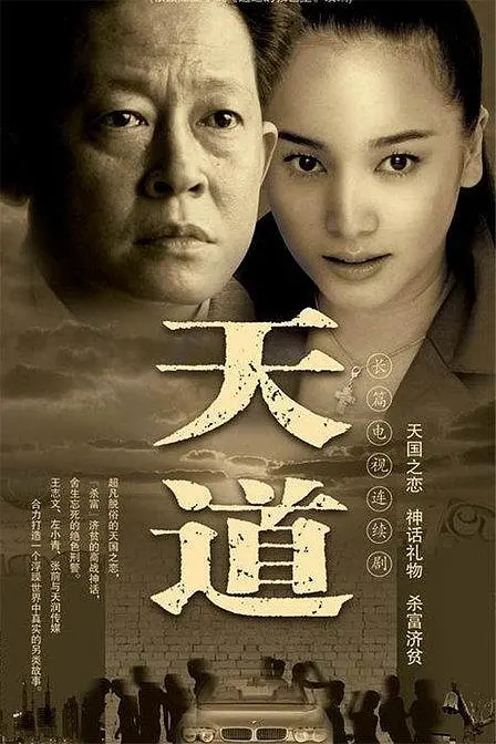 天道2008[电影解说]海报