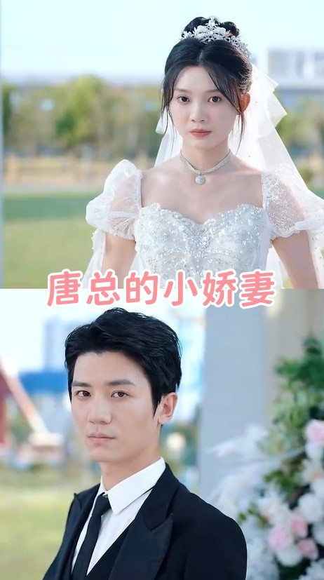 唐总的小娇妻海报
