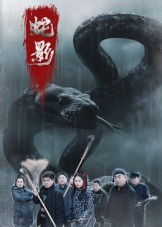 蛇影海报