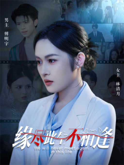 缘尽此生不相逢海报
