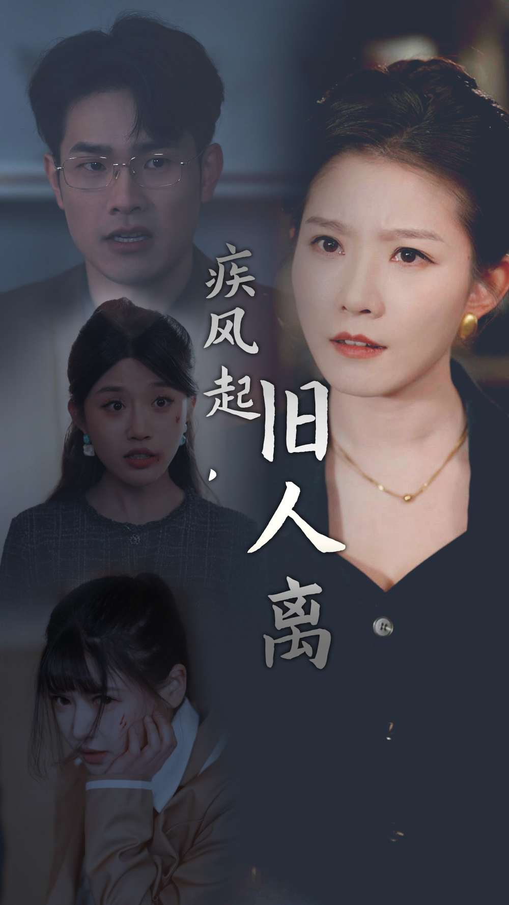 疾风起旧人离海报
