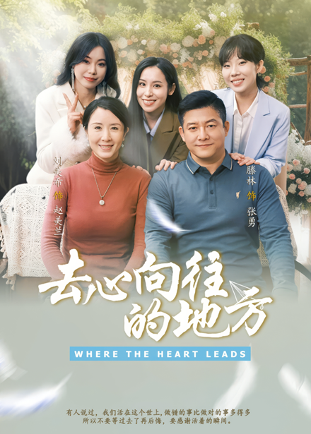 去心向往的地方海报