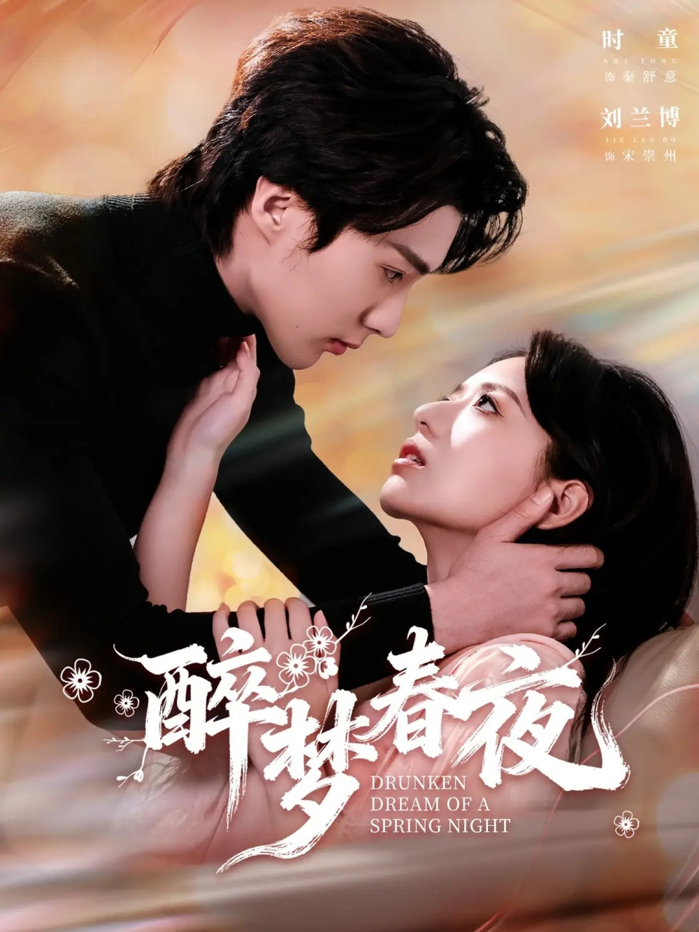 醉梦春夜海报