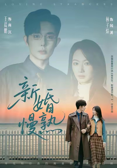 新婚慢熟海报