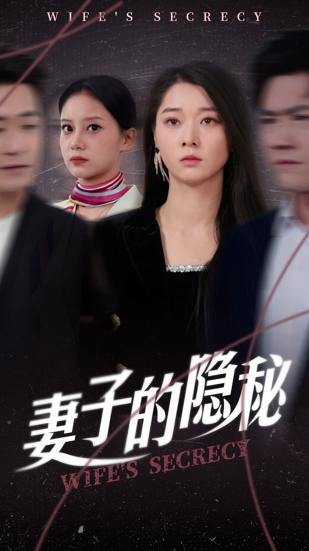 妻子的隐秘海报