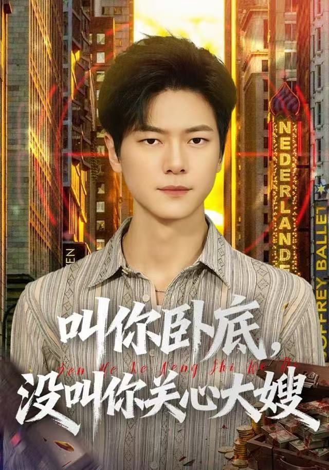 叫你卧底,没叫你关心大嫂海报