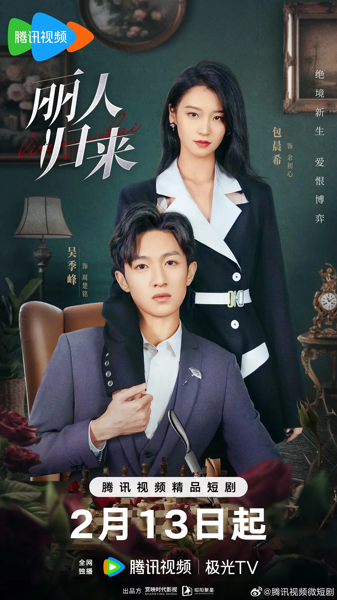 丽人归来海报
