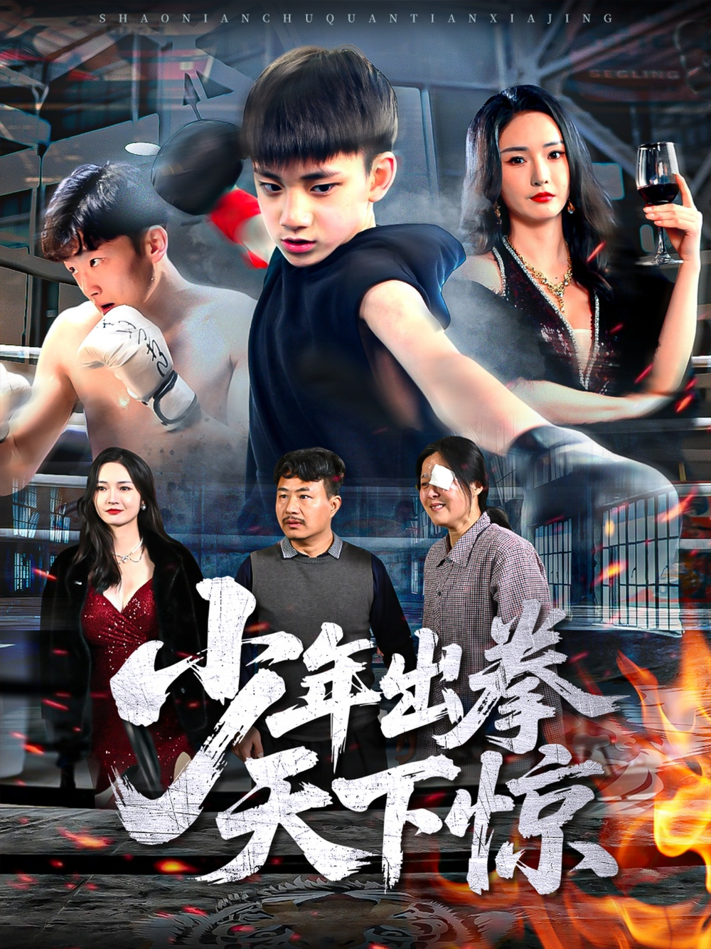 少年出拳天下惊海报