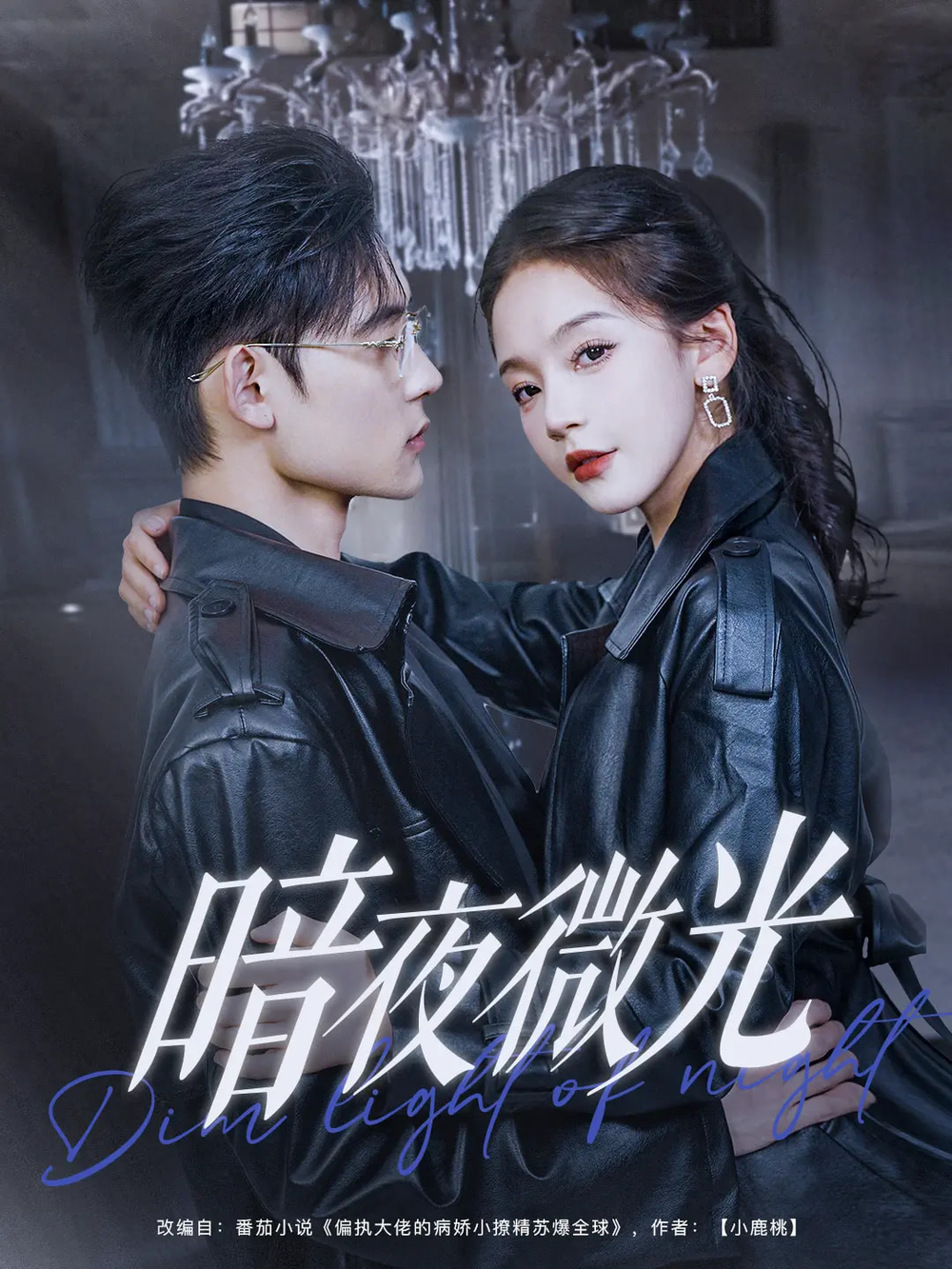 暗夜微光海报