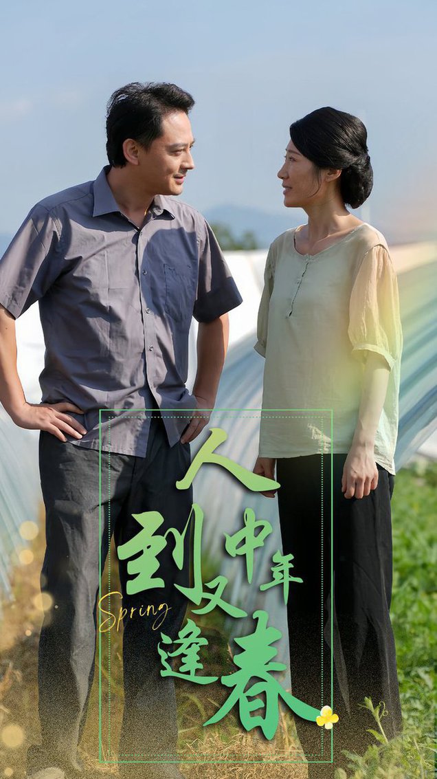 人到中年又逢春海报