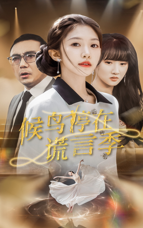 候鸟停在谎言季海报