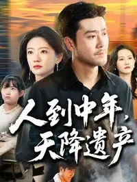 人到中年天降遗产海报