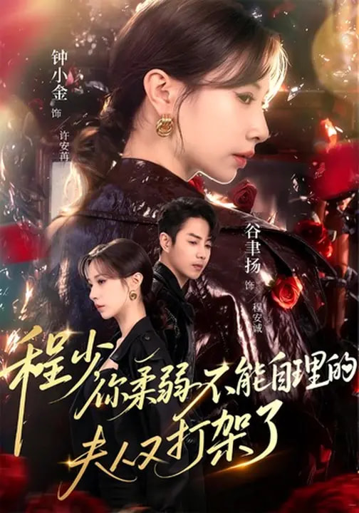 程少你柔弱不能自理的夫人又打架了海报