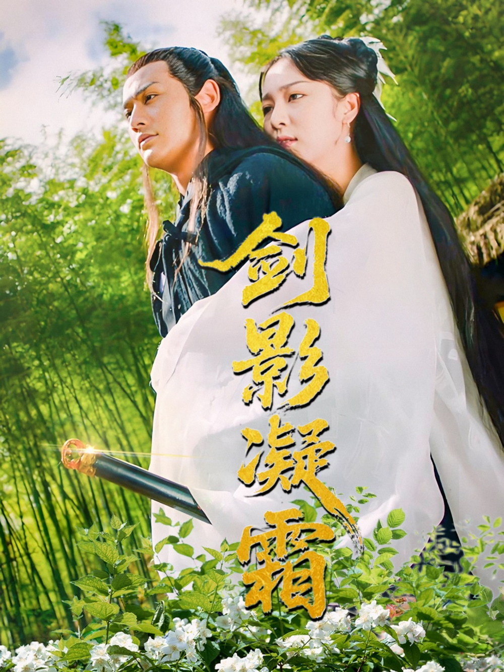 剑影凝霜海报