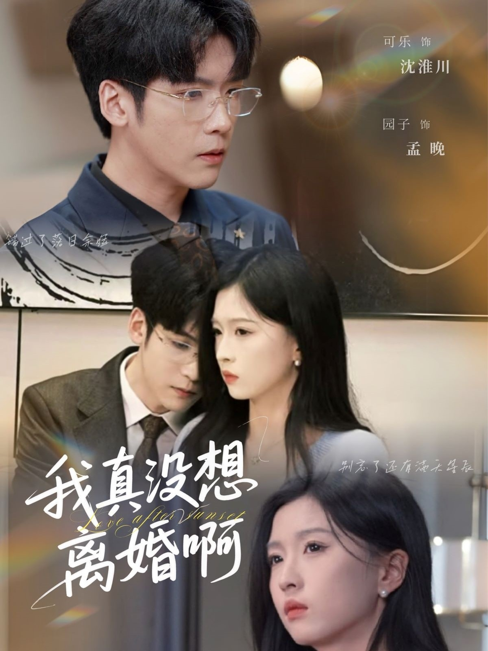 我真没想离婚啊海报