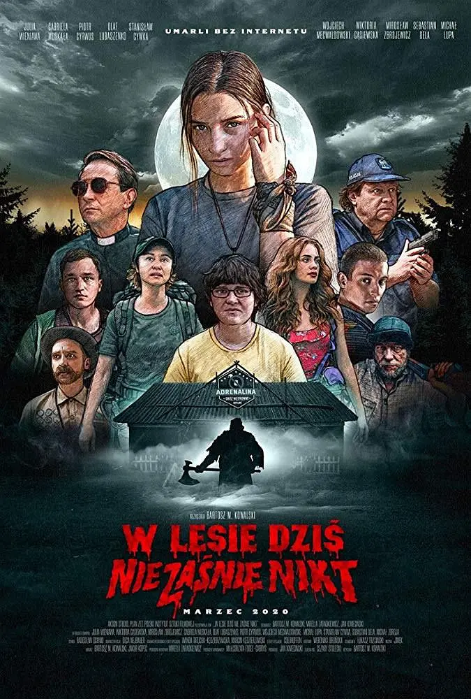 今夜林中无人入睡[电影解说]海报
