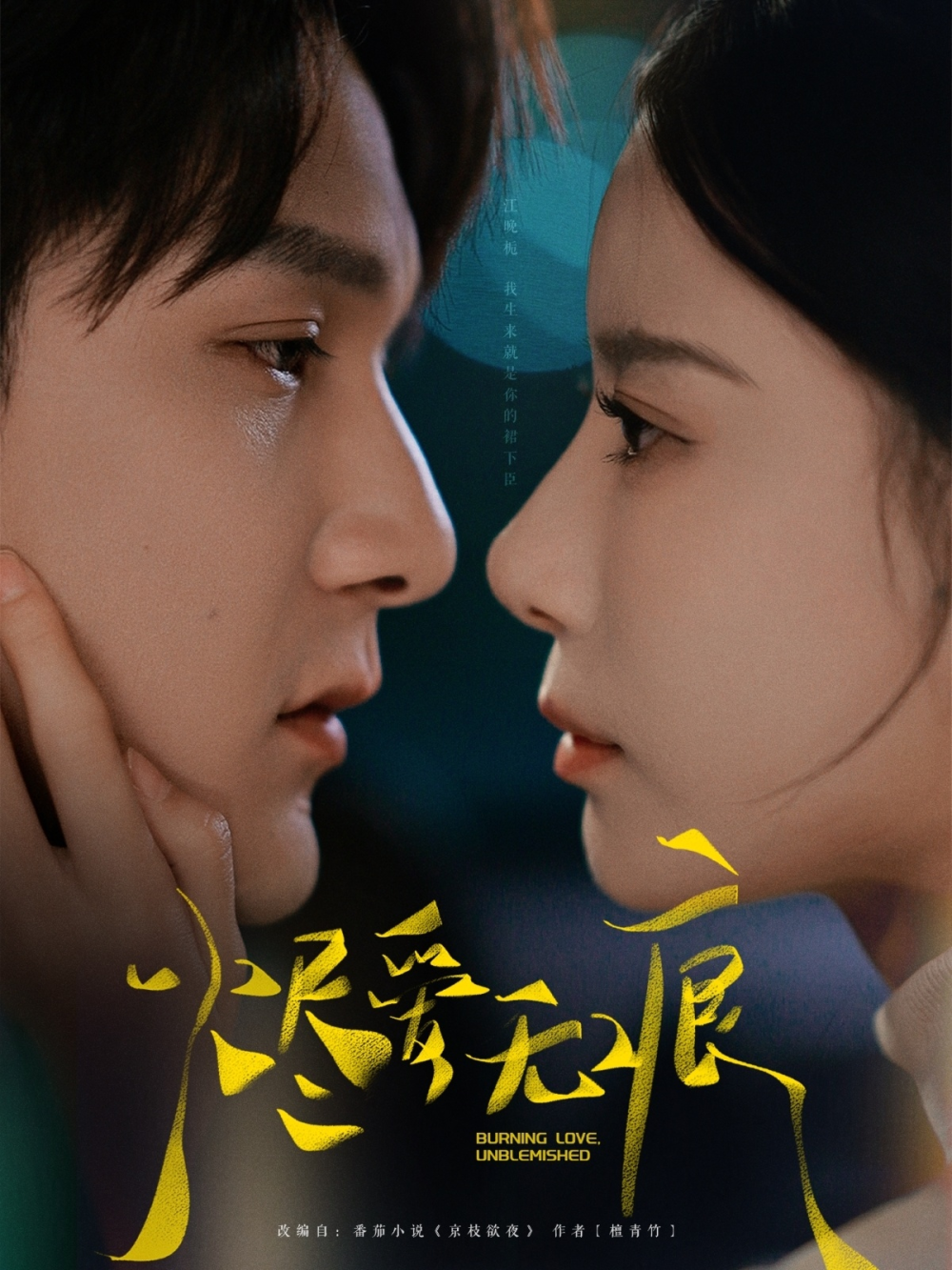 烬爱无痕海报