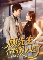 顾先生你的爱太迟了海报