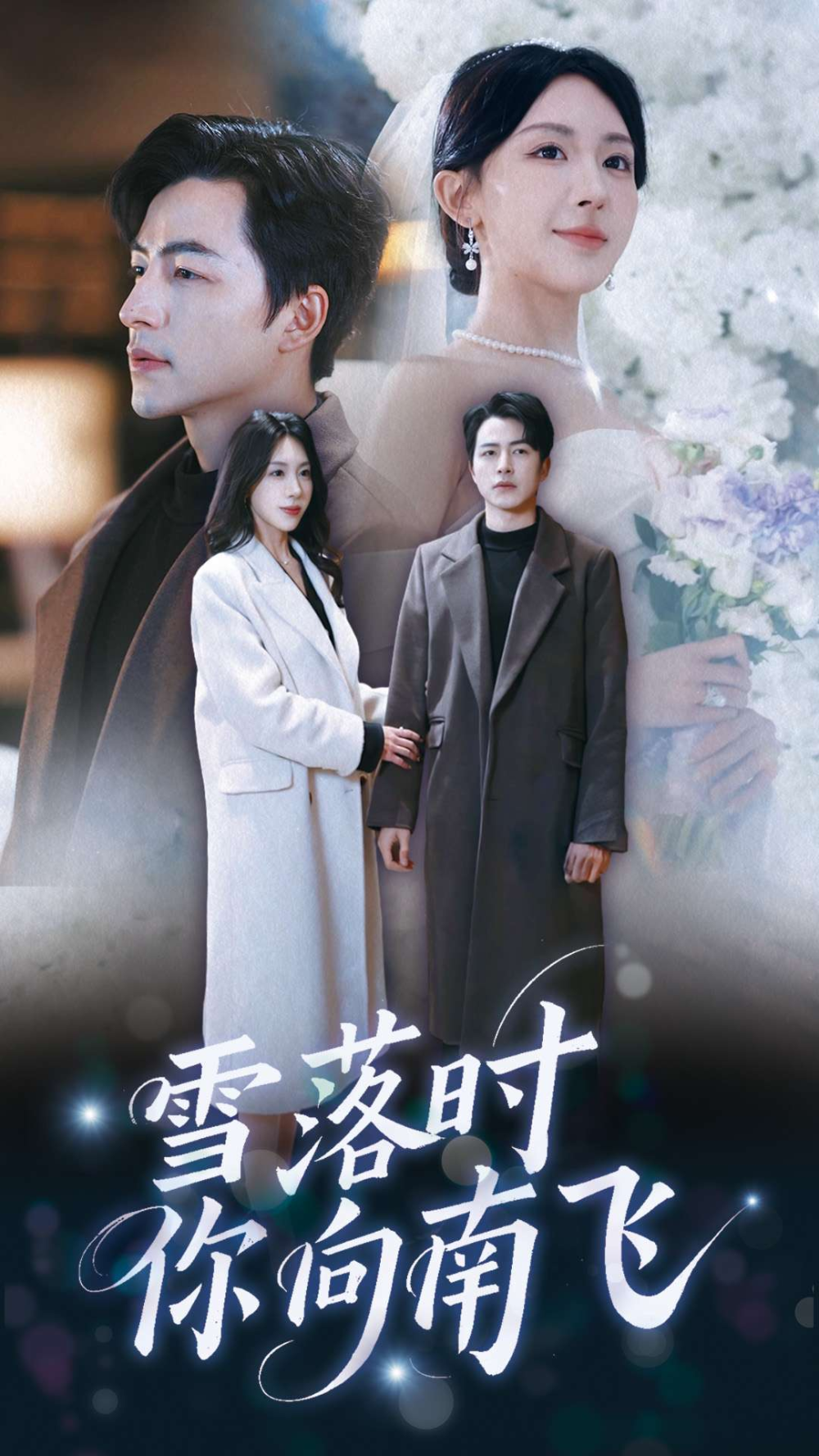 雪落时你向南飞海报