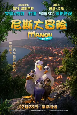 尼斯大冒险海报