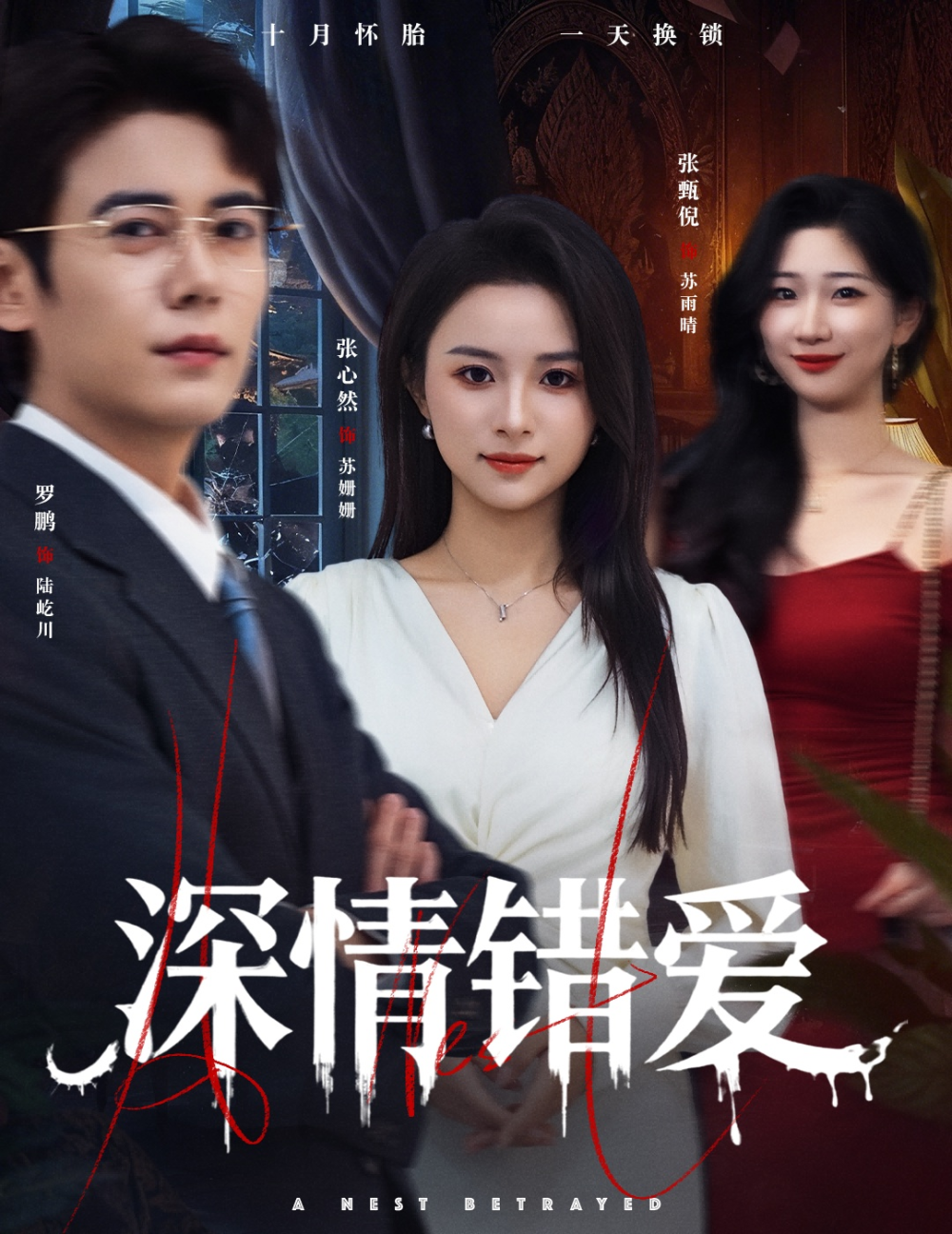 深情错爱&鸠占鹊巢海报