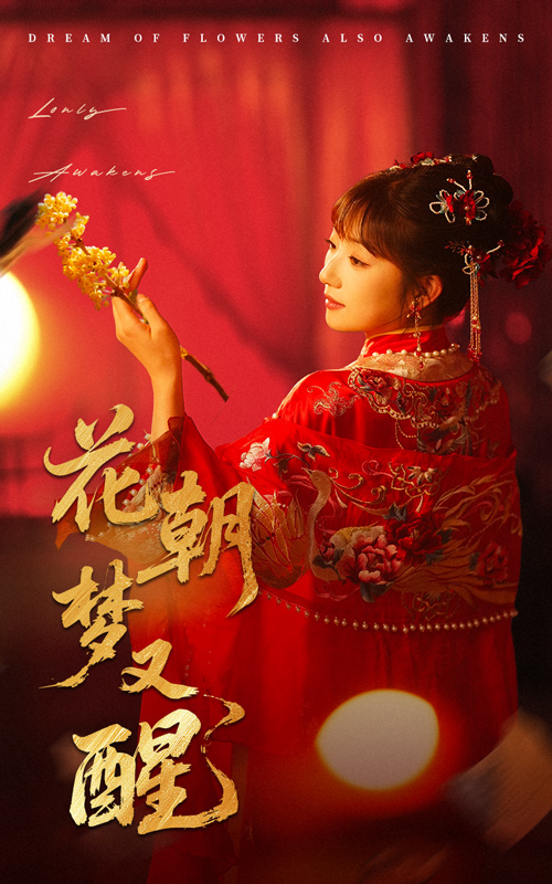 花朝梦又醒海报