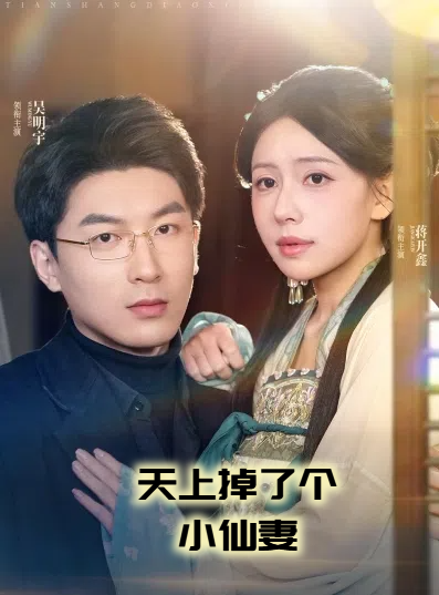 天上掉了个小仙妻海报