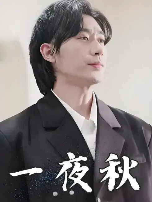 一夜秋&陆少宠妻如命海报